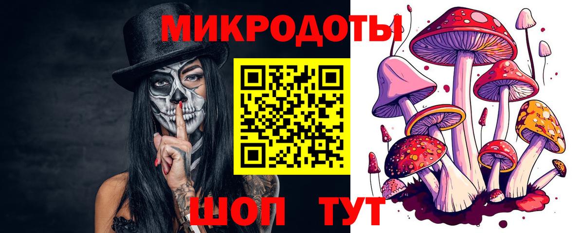 Галлюциногенные грибы Psilocybe  Галлюциногенные грибы мухоморы  Ахтубинск  Вход с VPN 
