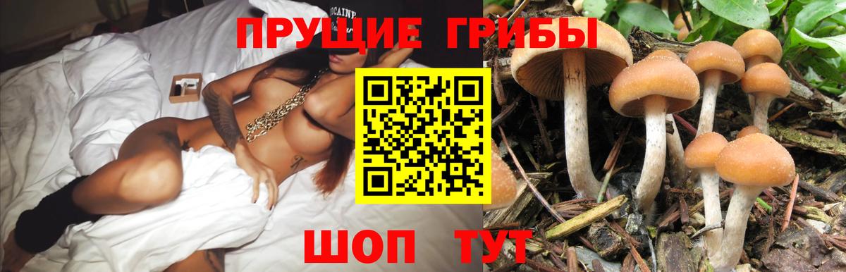 Псилоцибиновые грибы мицелий Ахтубинск